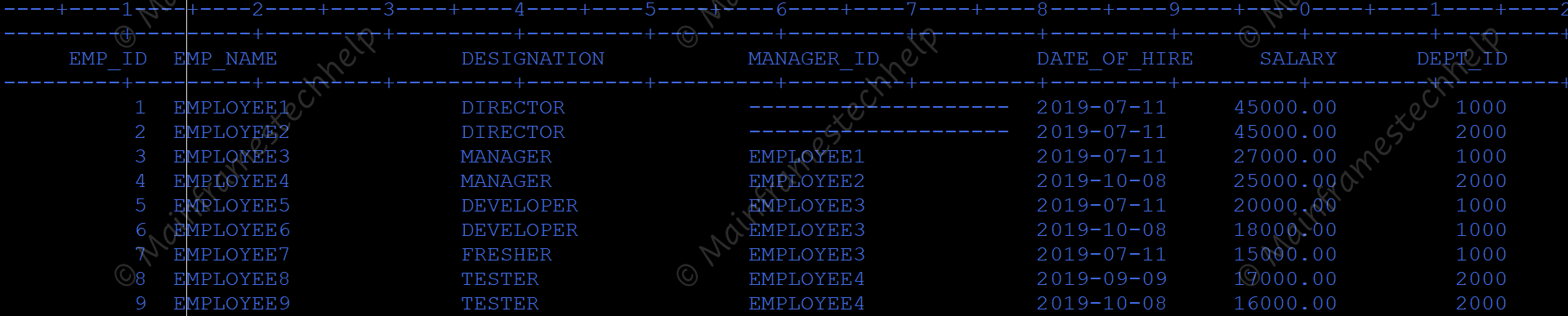 UPDATE CURSOR Program Output