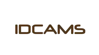 IDCAMS Examples