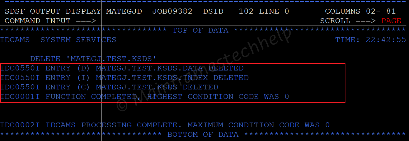 DELETE KSDS Output