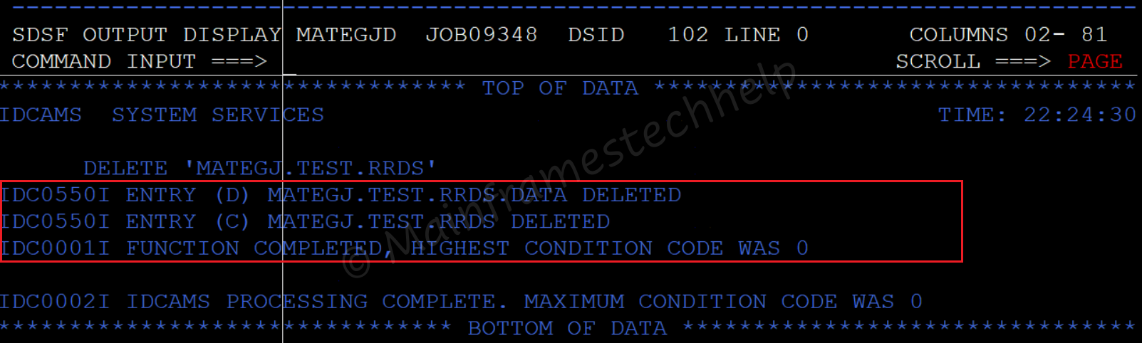 DELETE RRDS Output