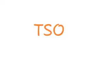 TSO