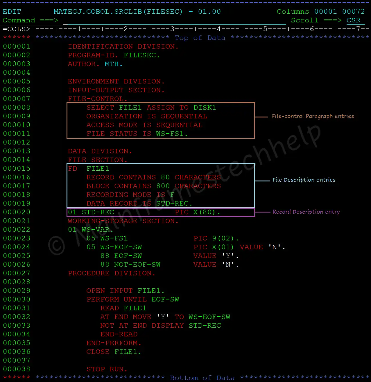 File Section Example Code