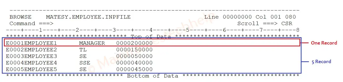 Record Example